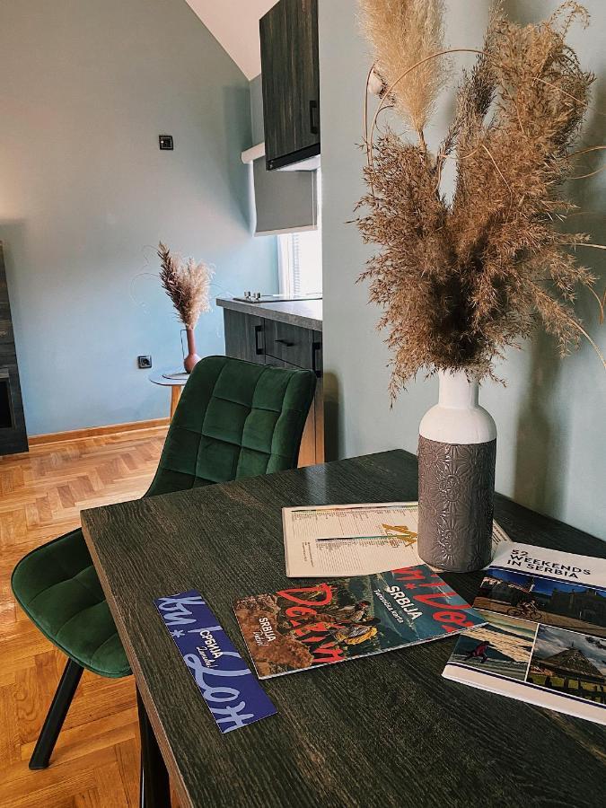 Aleksei Apartmani Belgrade Extérieur photo